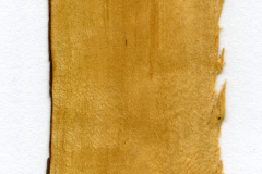 XT0008XX sezione radiale