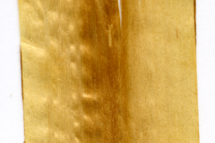 XT0001XX sezione longitudinale radiale