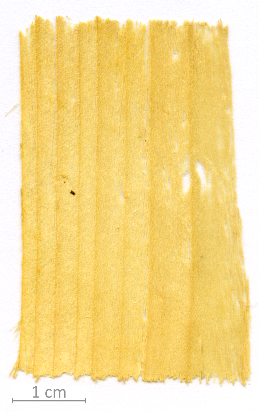 001_XT0063XX sezione longitudinale