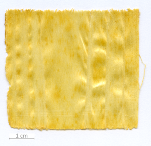 005_XT0078XX sezione longitudinale