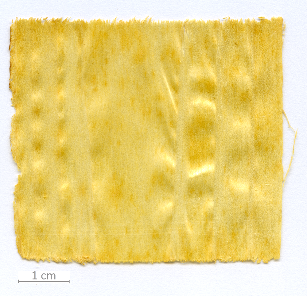 005_XT0078XX sezione longitudinale