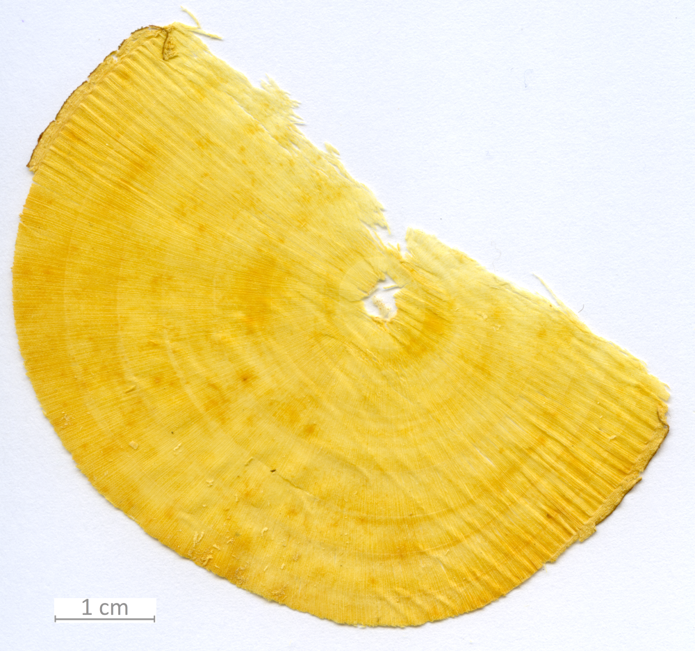 005_XT0078XX sezione trasversale