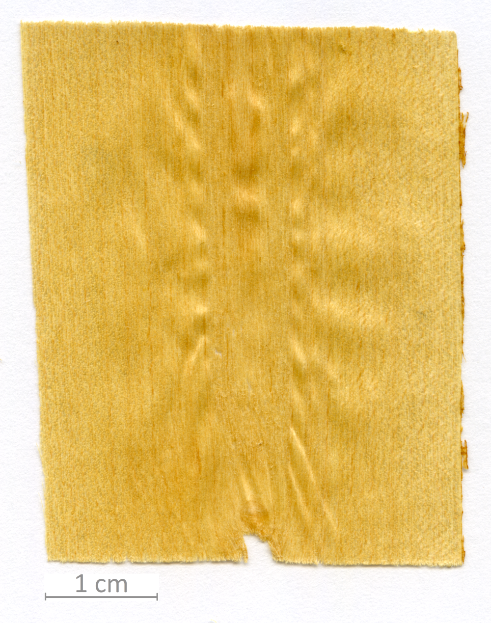 006_XT0016XX sezione longitudinale