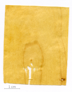 007_XT0105XX sezione longitudinale