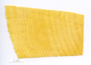 007_XT0105XX sezione trasversale