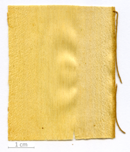 008_XT0017XX sezione longitudinale