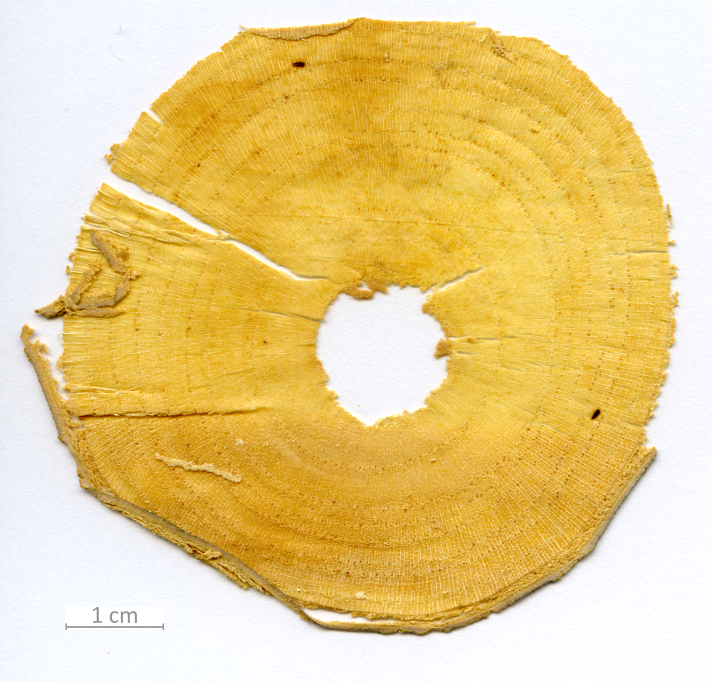 009_XT0130XX sezione trasversale