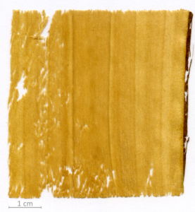 012_XT0032XX sezione longitudinale