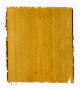 013_XT0033XX sezione longitudinale