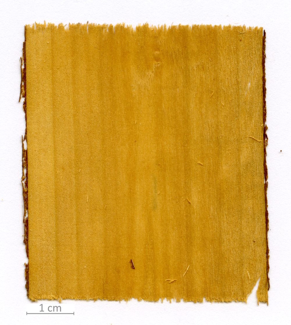 013_XT0033XX sezione longitudinale