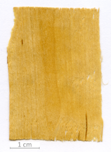 014_XT0065XX sezione longitudinale radiale