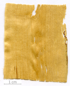 014_XT0065XX sezione longitudinale tangenziale