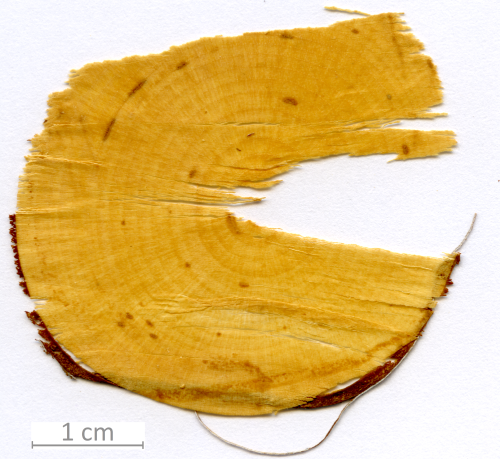 014_XT0065XX sezione trasversale