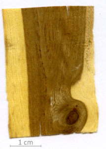 016_XT0116XX sezione longitudinale