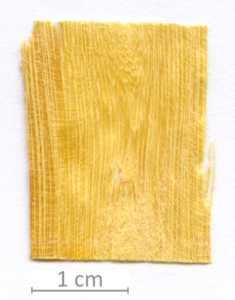 017_XT0036XX sezione longitudinale tangenziale