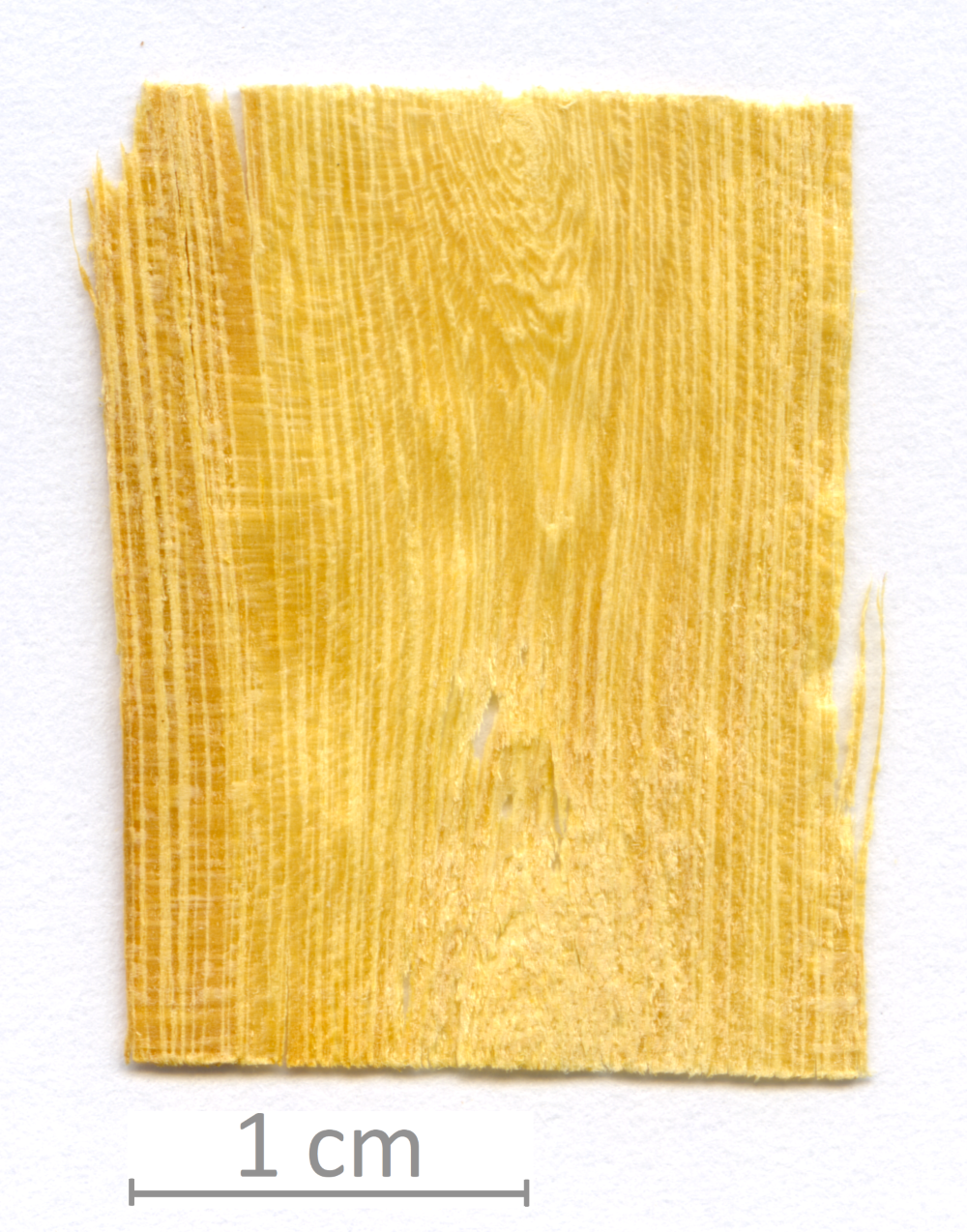 017_XT0036XX sezione longitudinale tangenziale