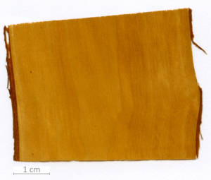 019_XT0168XX sezione longitudinale