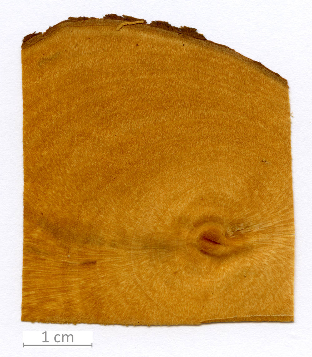 019_XT0168XX sezione trasversale