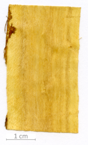 020_XT0060XX sezione longitudinale