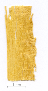 021_XT0013XX sezione longitudinale tangenziale