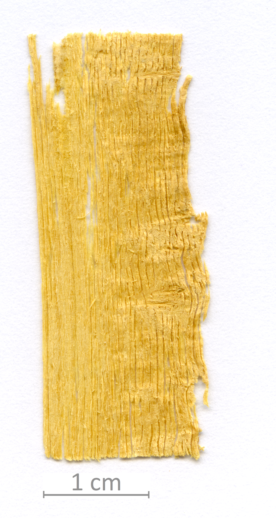 021_XT0013XX sezione longitudinale tangenziale