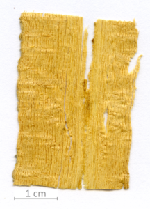 021_XT0013XX sezione longitudinale radiale