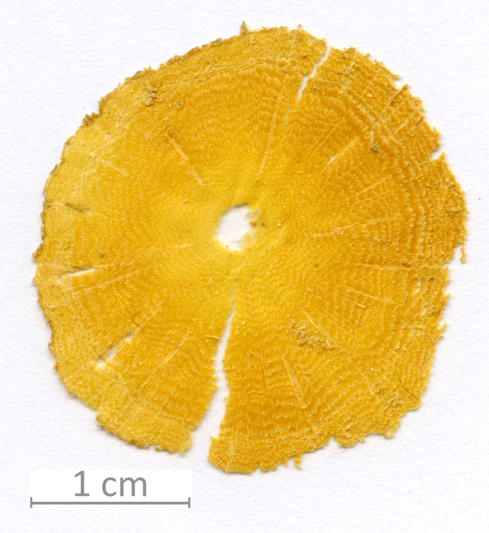 021_XT0013XX sezione trasverale