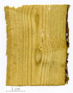 022_XT0066XX sezione longitudinale