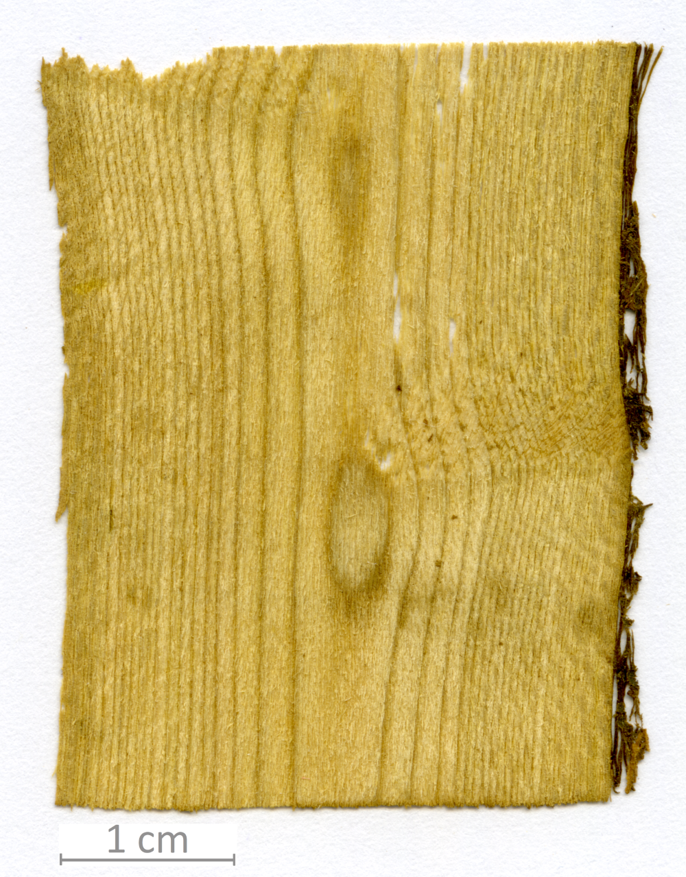 022_XT0066XX sezione longitudinale