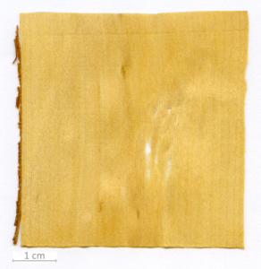 023_XT0082XX sezione longitudinale tangenziale