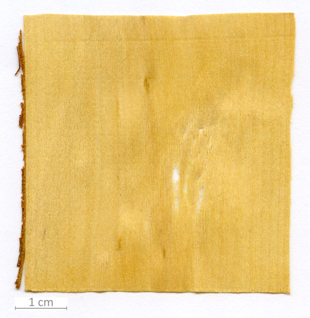 023_XT0082XX sezione longitudinale tangenziale