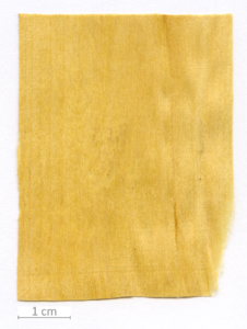 023_XT0082XX sezione longitudinale radiale