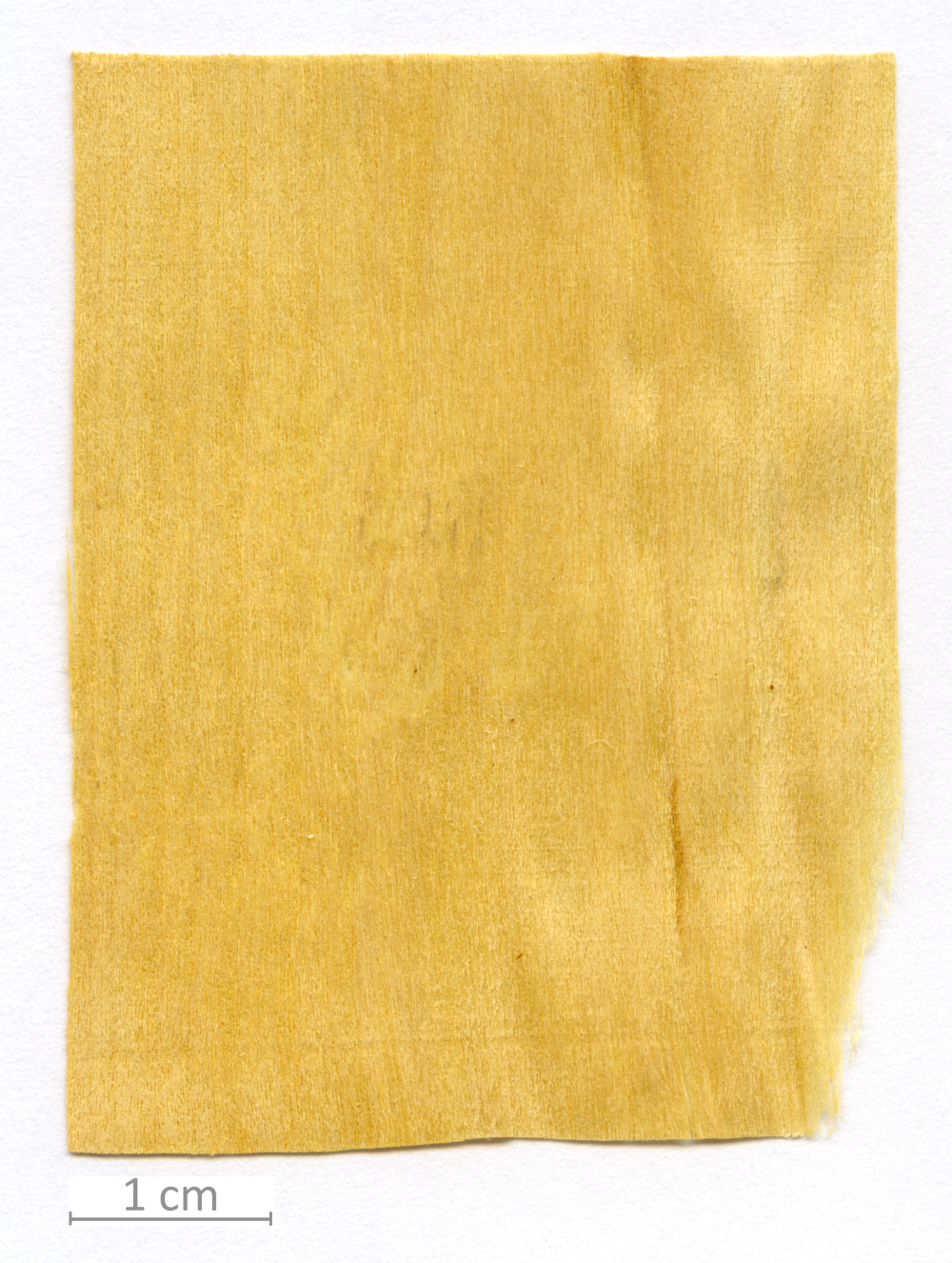 023_XT0082XX sezione longitudinale radiale