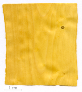 024_0XT0167XX sezione longitudinale