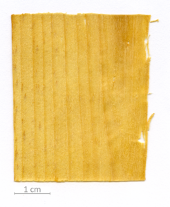 027_XT0011XX sezione longitudinale