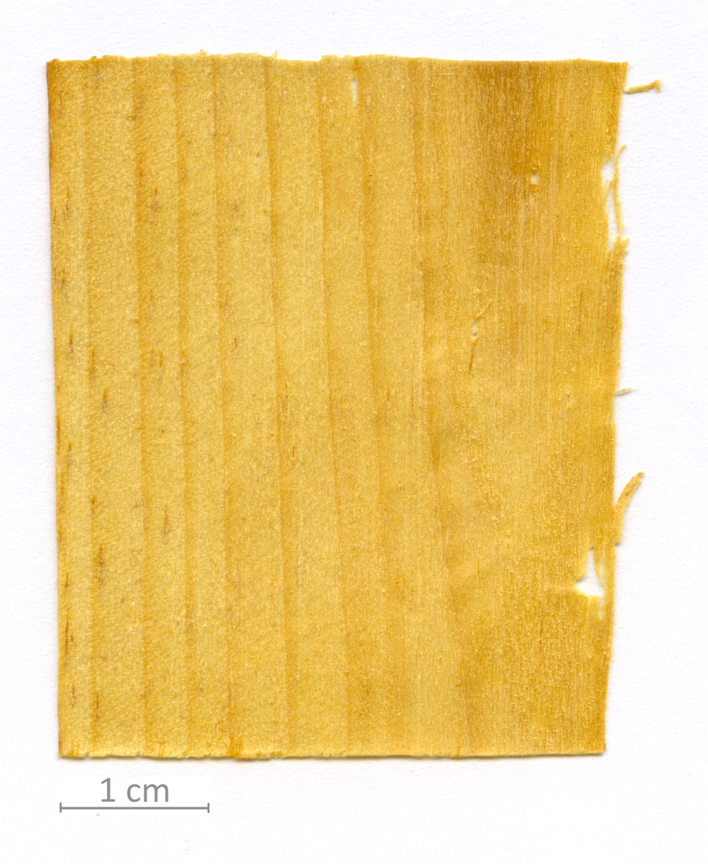 027_XT0011XX sezione longitudinale