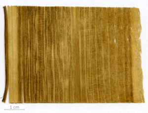 028_XT0003XX sezione longitudinale tangenziale