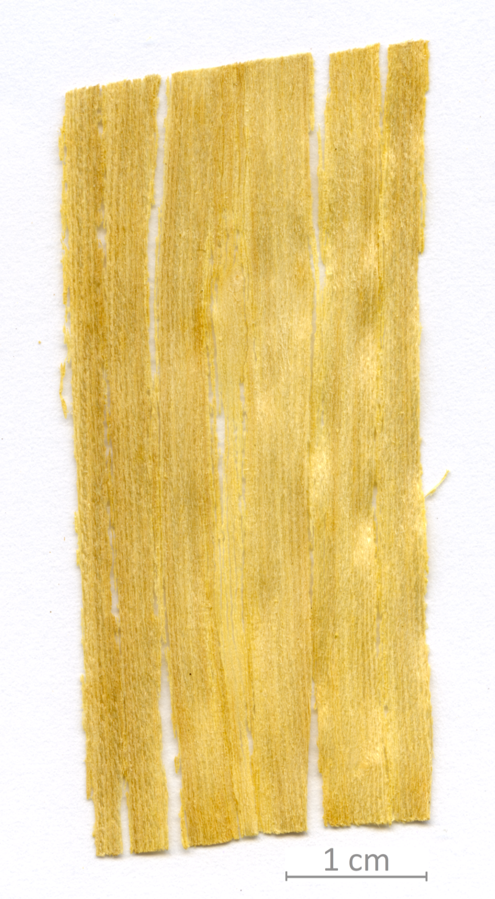 029_XT0142XX sezione longitudinale