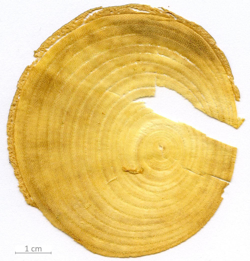 029_XT0142XX sezione trasversale