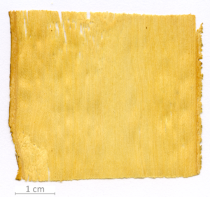 037_XT0118XX sezione longitudinale