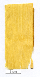 039_XT0006XX sezione longitudinale radiale