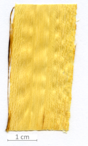 039_XT0006XX sezione longitudinale tangenziale