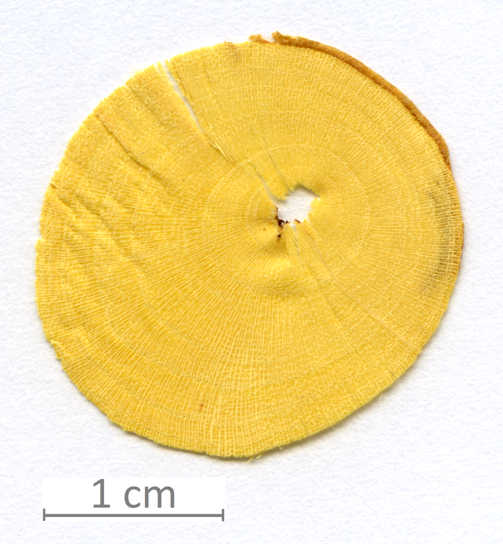 039_XT0006XX sezione trasversale