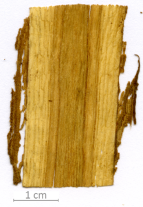 040_XT0108XX sezione longitudinale tangenziale