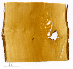 044_XT0094XX sezione longitudinale