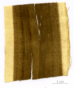 046_XT0067XX sezione longitudinale