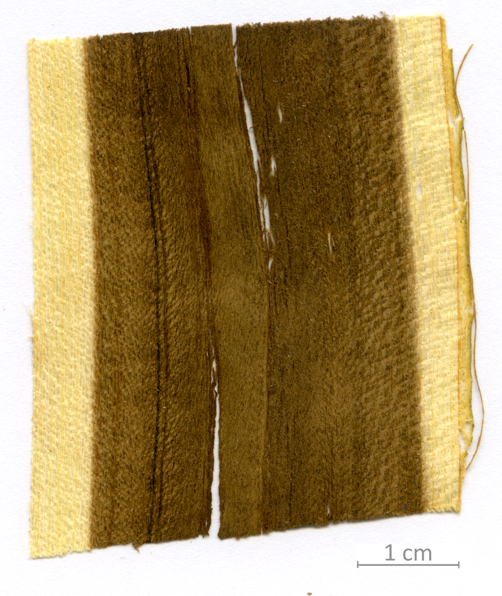 046_XT0067XX sezione longitudinale