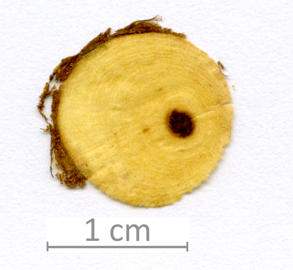 047_XT0095XX sezione trasversale