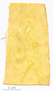 048_XT0129XX sezione longitudinale