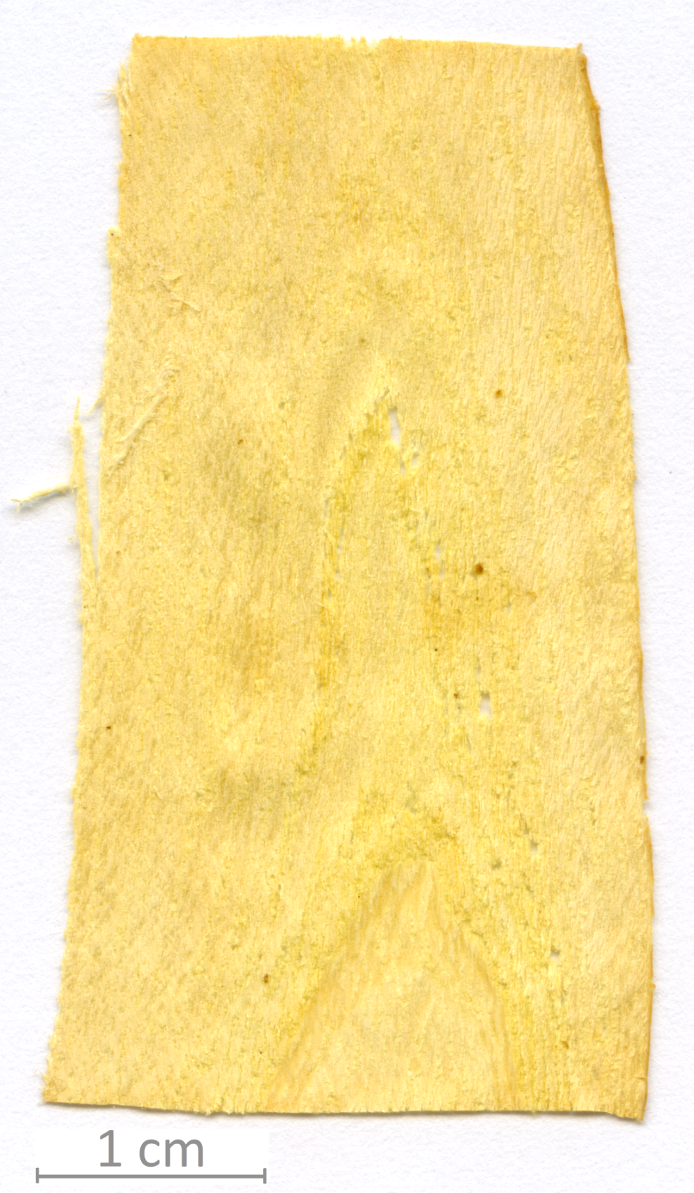 048_XT0129XX sezione longitudinale